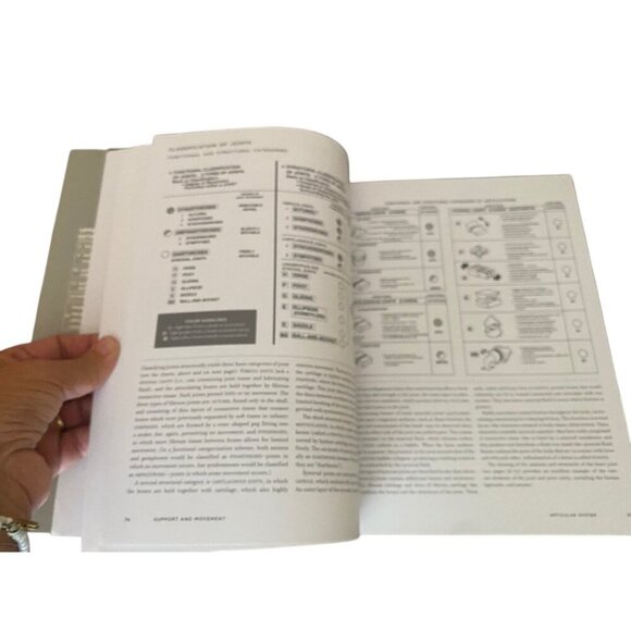 New McMurtries Human Anatomy Coloring Book 3rd Edition With 1000+ Illustrations - Picture 9 of 13